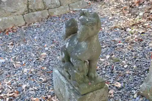 鷲神社の狛犬