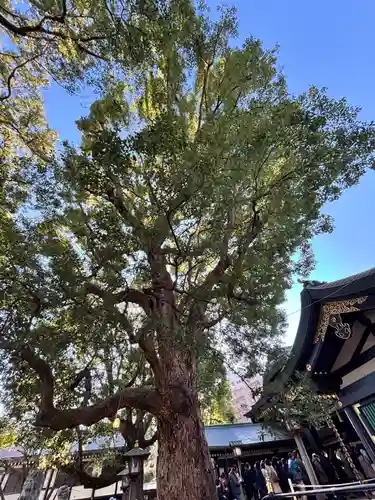 穴八幡宮(東京都)