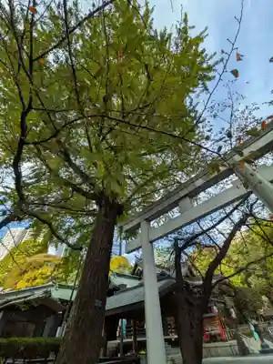 熊野神社(東京都)