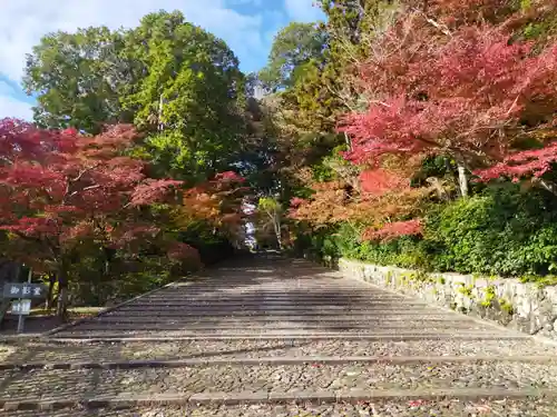 光明寺（粟生光明寺）(京都府)
