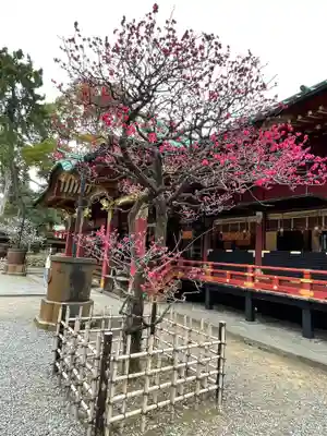 根津神社(東京都)