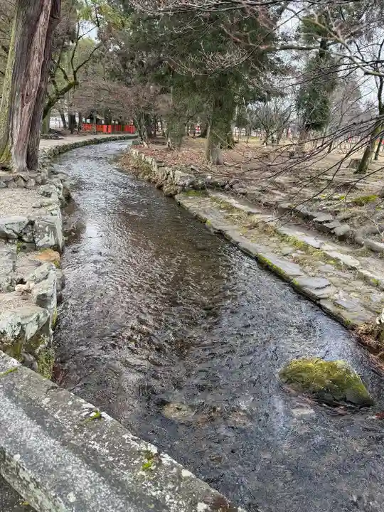 賀茂別雷神社(上賀茂神社)(京都府)