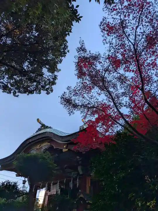 青山熊野神社(東京都)