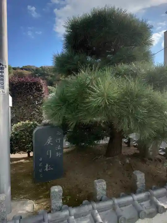 本蓮寺(神奈川県)