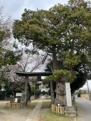 畑子安神社(千葉県)