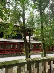 一之宮貫前神社の建物その他