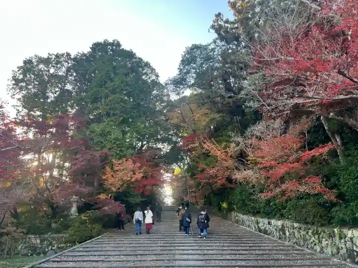 光明寺(粟生光明寺)(京都府)