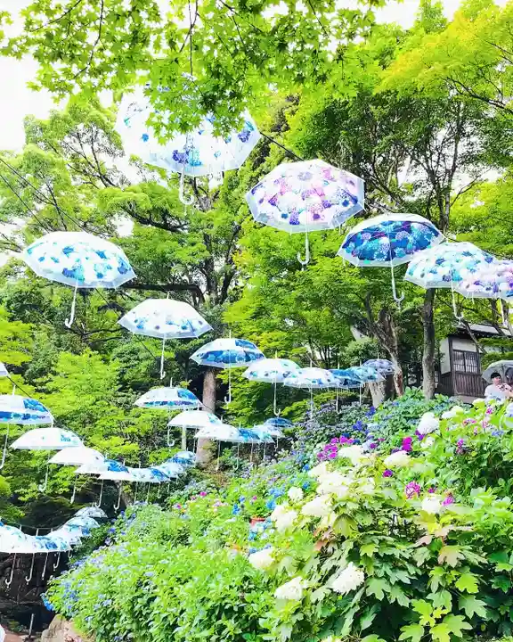 柳谷観音 楊谷寺(京都府)