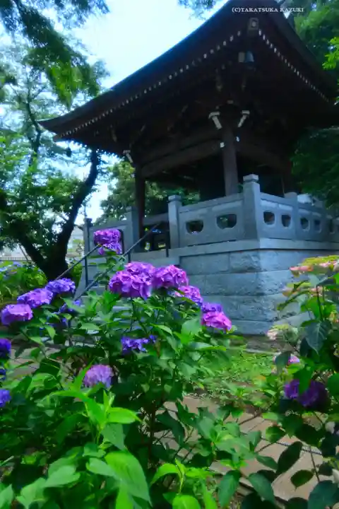 妙楽寺(神奈川県)
