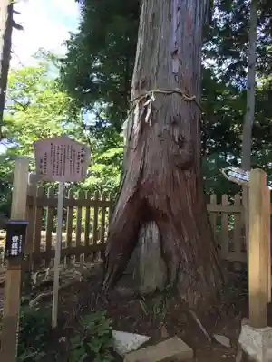 武蔵御嶽神社のその他建物