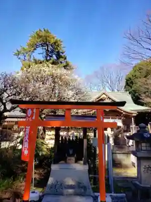布多天神社(東京都)
