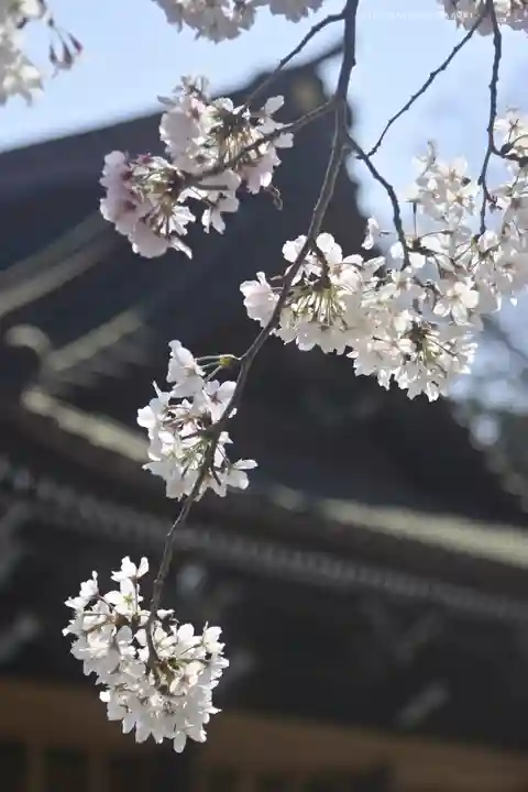 三嶋大社(静岡県)