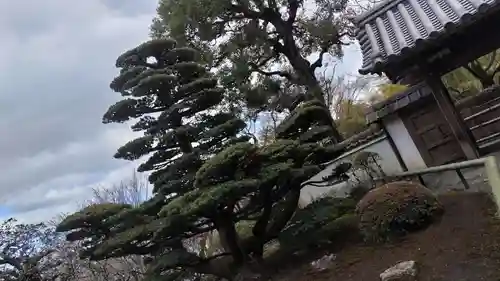 華厳寺（鈴虫寺）(京都府)