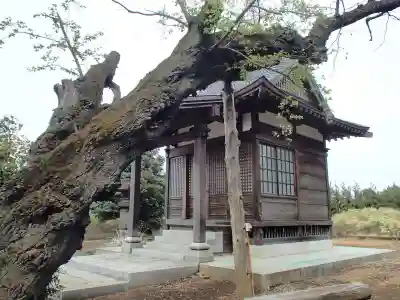 多宝院の本殿・本堂