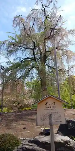 東寺（教王護国寺）の庭園