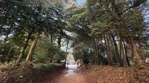 知乃神社(兵庫県)