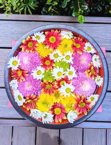 増上寺塔頭 三縁山 宝珠院の手水舎