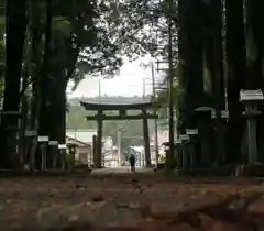 田村神社の鳥居