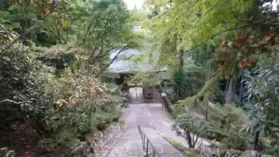 太龍寺(徳島県)