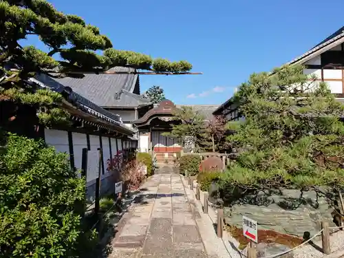 崇福寺の庭園