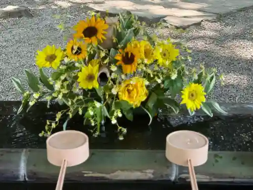 武蔵一宮氷川神社(埼玉県)