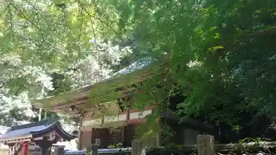 狸谷山不動院のその他建物