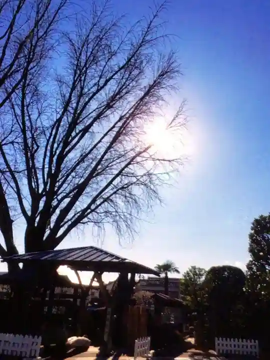 成願寺(東京都)