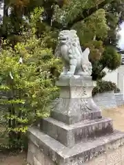 多井畑厄除八幡宮の狛犬