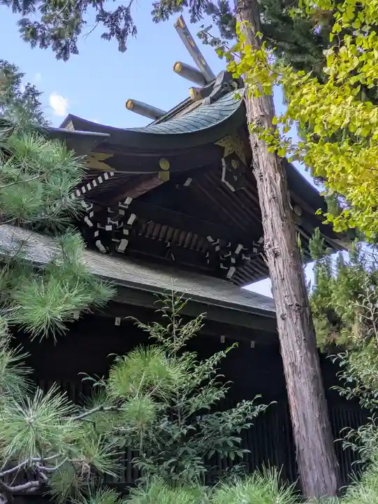 磯良神社(疣水神社)(大阪府)