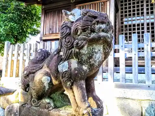 神明社（犬山神明社）の狛犬