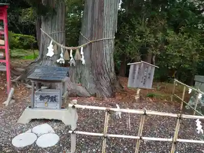 矢奈比賣神社（見付天神）(静岡県)