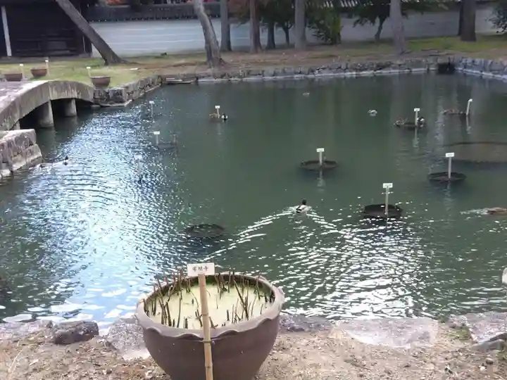 普廣院(普広院)(京都府)