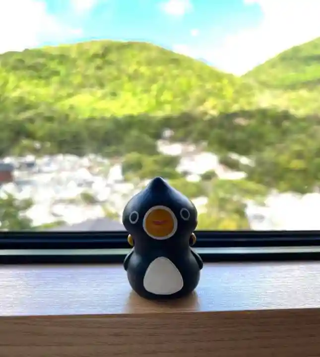 諫早神社(九州総守護 四面宮)(長崎県)