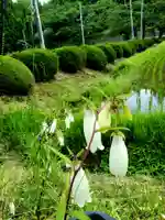 鹿島大神宮(福島県)