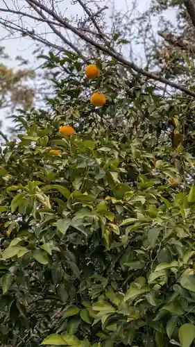 平野神社(京都府)