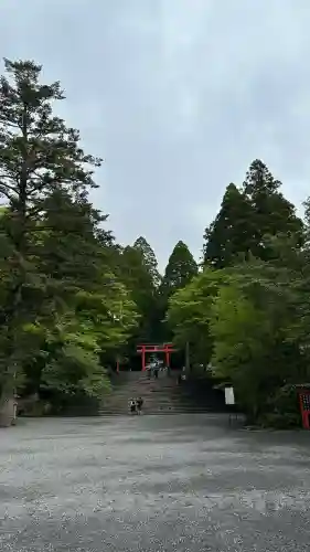 霧島神宮(鹿児島県)