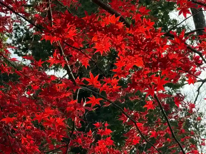 武蔵一宮氷川神社(埼玉県)