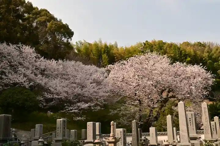 掌禅寺(愛媛県)