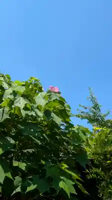 後白河院御聖蹟　法住寺(京都府)