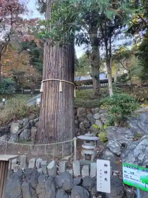 中氷川神社(埼玉県)