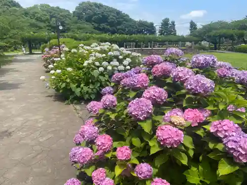 玉敷神社の庭園