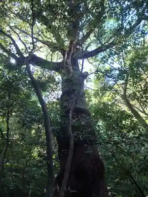 花窟神社(三重県)