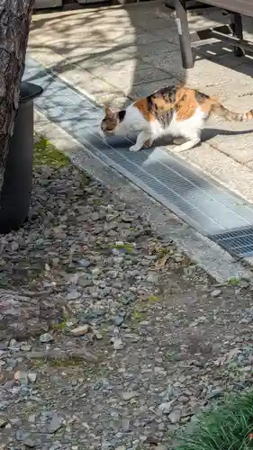 行願寺（革堂）(京都府)