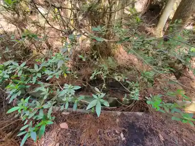 名草厳島神社(栃木県)