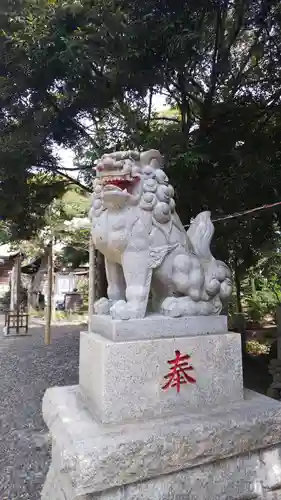 菊田神社の狛犬