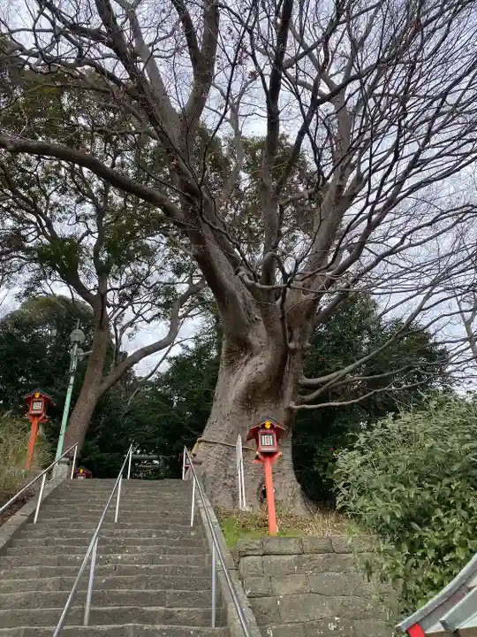 常陸第三宮 吉田神社(茨城県)