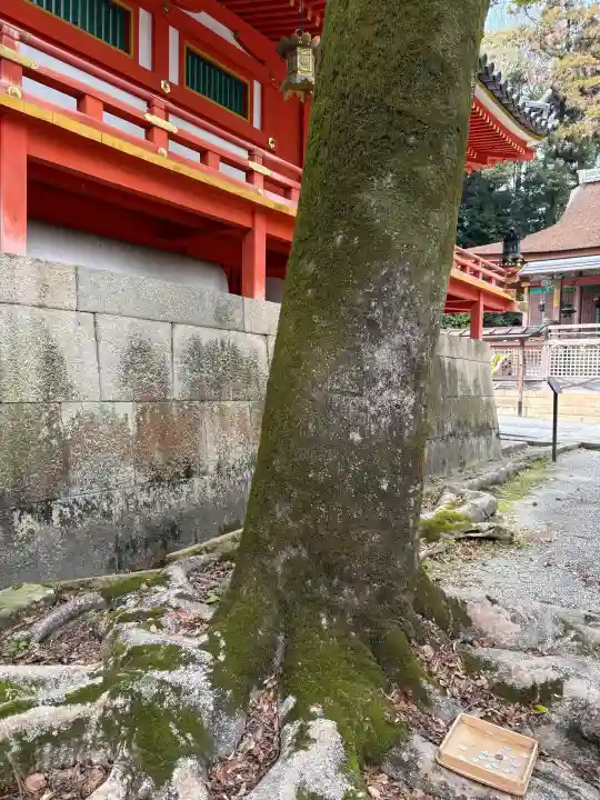 石清水八幡宮の{uncategorized: "未分類", other: "その他", undefined: "問題あり", building: "その他建物", grave: "お墓", sacred_gate: "鳥居", guardian: "狛犬", statue: "像", buddha: "仏像", history: "歴史", nature: "自然", garden: "庭園", animal: "動物", pagoda: "塔", temizu: "手水舎", mountain_gate: "山門・神門", sanctuary: "本殿・本堂", subordinate: "末社・摂社", art: "芸術", scenery: "景色", jizo: "地蔵", ema: "絵馬", goshuin: "御朱印", omikuji: "おみくじ", items: "授与品その他", amulet: "お守り", goshuincho: "御朱印帳", eats: "食事", festival: "お祭り", votive_dance: "神楽", shichigosan: "七五三参", wedding: "結婚式", experience: "体験その他", initially: "初詣", around: "周辺", anti_infection: "感染症対策"}