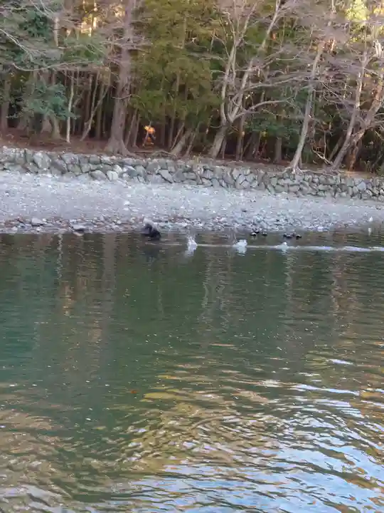 伊勢神宮内宮(皇大神宮)の自然
