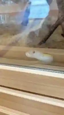 感神院木山寺(岡山県)