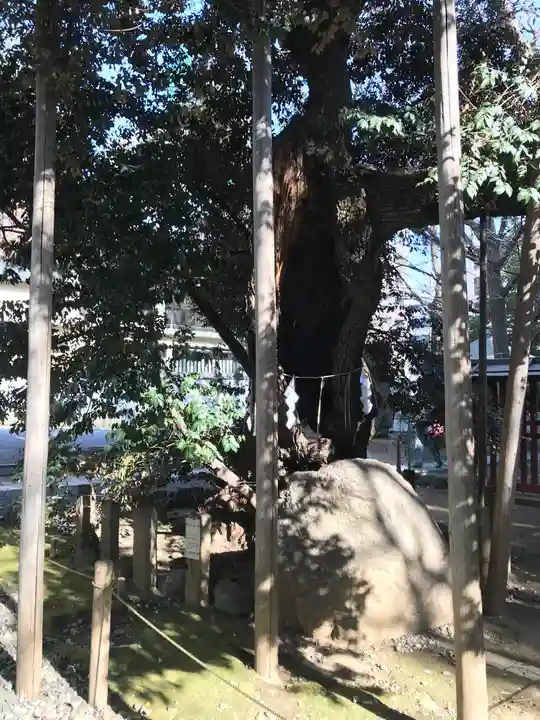 金王八幡宮(東京都)